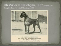 /album/%cf%80%ce%b7%ce%b3%ce%ae-%3a-boxernews-forumcommunity-net/%ce%b1%ce%bd%cf%84%ce%af%ce%b3%cf%81%ce%b1%cf%86%ce%bf-%283%29-%ce%b1%cf%80%cf%8c-1480730-731607313561248-4116485018379237727-n-jpg/